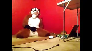 1156 anal porn videos